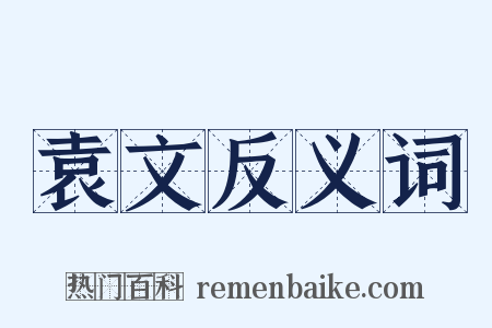 袁文反义词是什么意思的图片